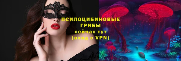 круглые Алзамай