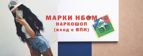 мет Алексин