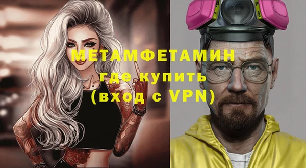 мет Алексин