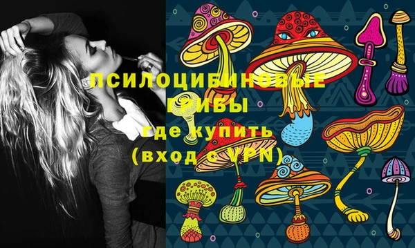 круглые Алзамай
