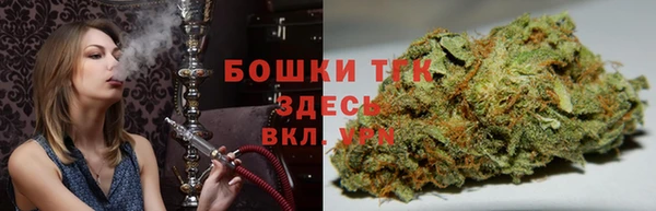 мет Алексин