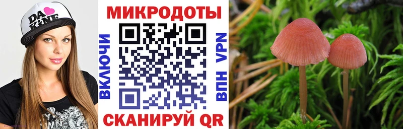 MEGA как войти Луза Псилоцибиновые грибы ЛСД
